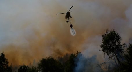 Alerta Roja por incendio forestal que consume 1.400 hectáreas en Romeral