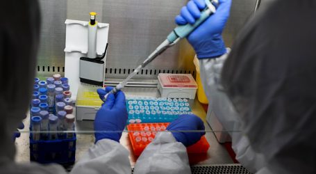 Descubridores del virus de la hepatitis C galardonados con el Nobel de Medicina