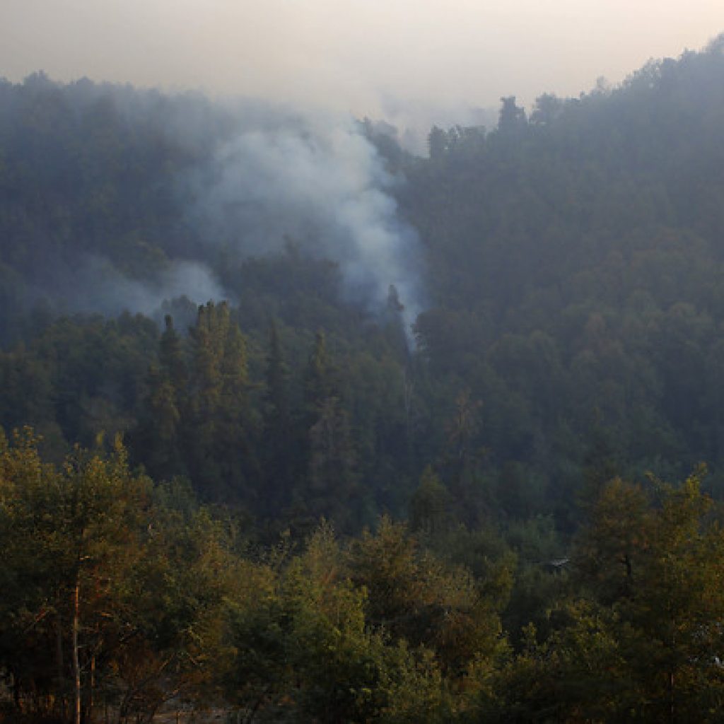 Declaran Alerta Roja para Los Ángeles por incendio forestal