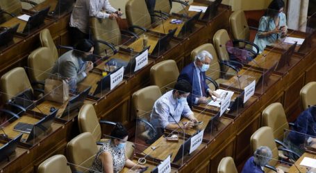 Rechazan participación de chilenos en el exterior en el órgano Constitucional