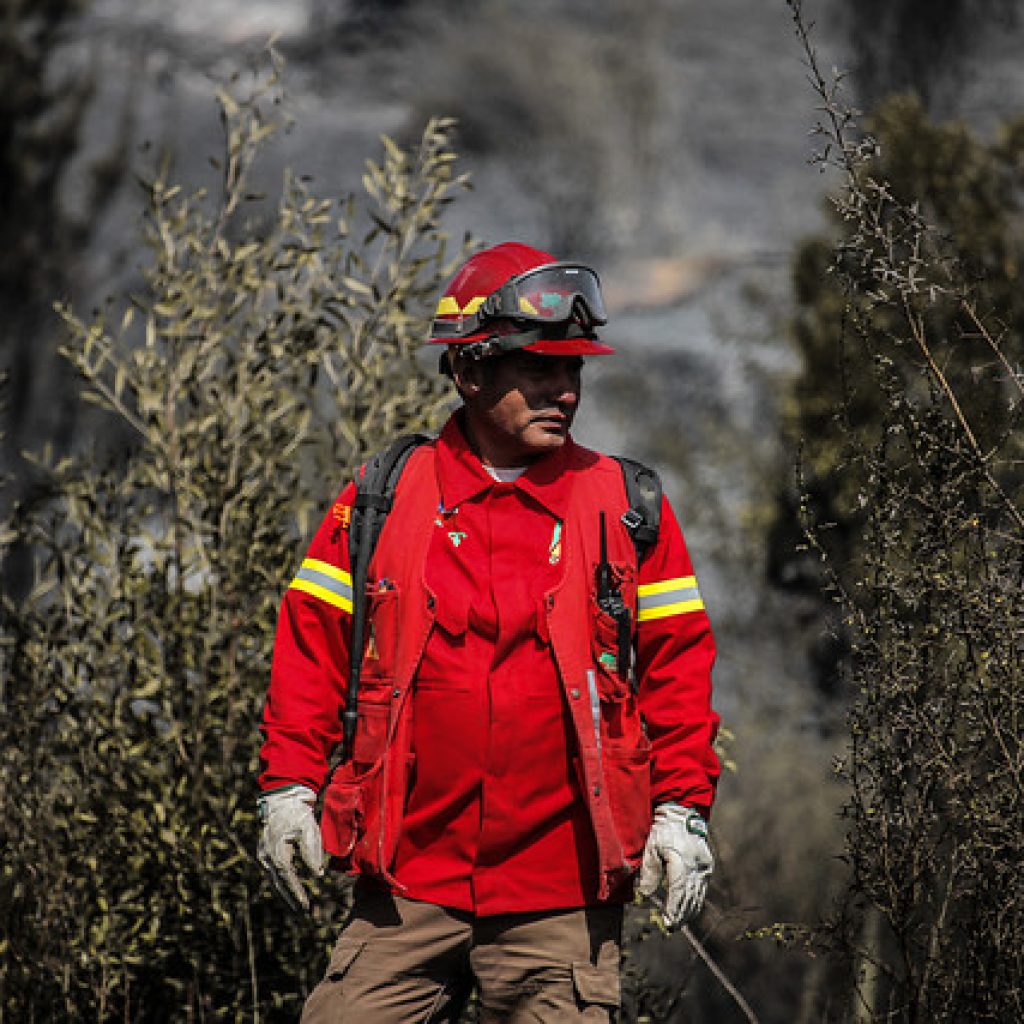 Declaran Alerta Roja para la comuna de Tomé por incendio forestal