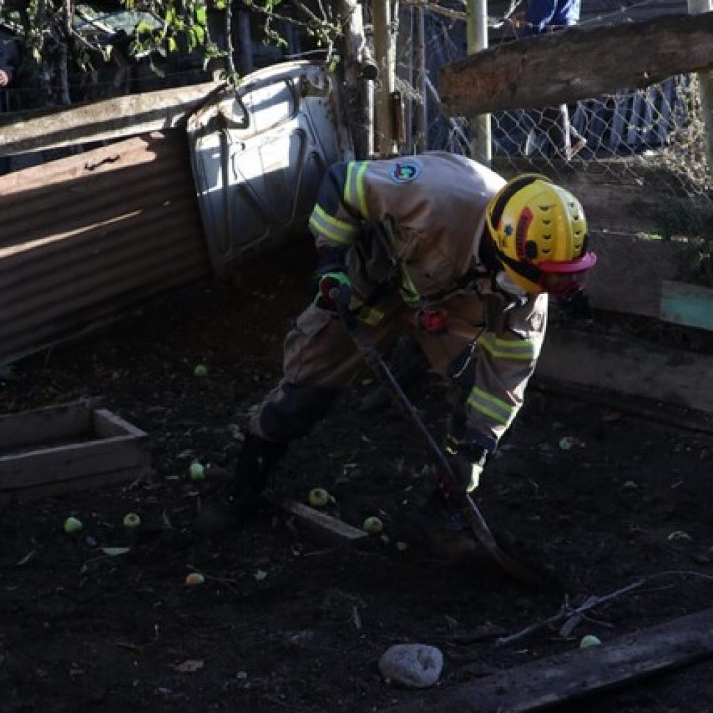 Continúa la búsqueda del niño de 3 años perdido en la comuna de Arauco