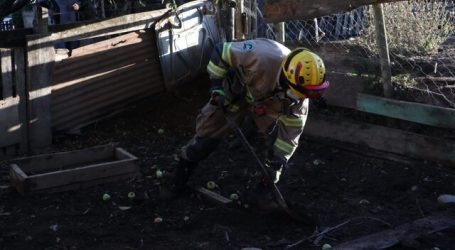 Continúa la búsqueda del niño de 3 años perdido en la comuna de Arauco