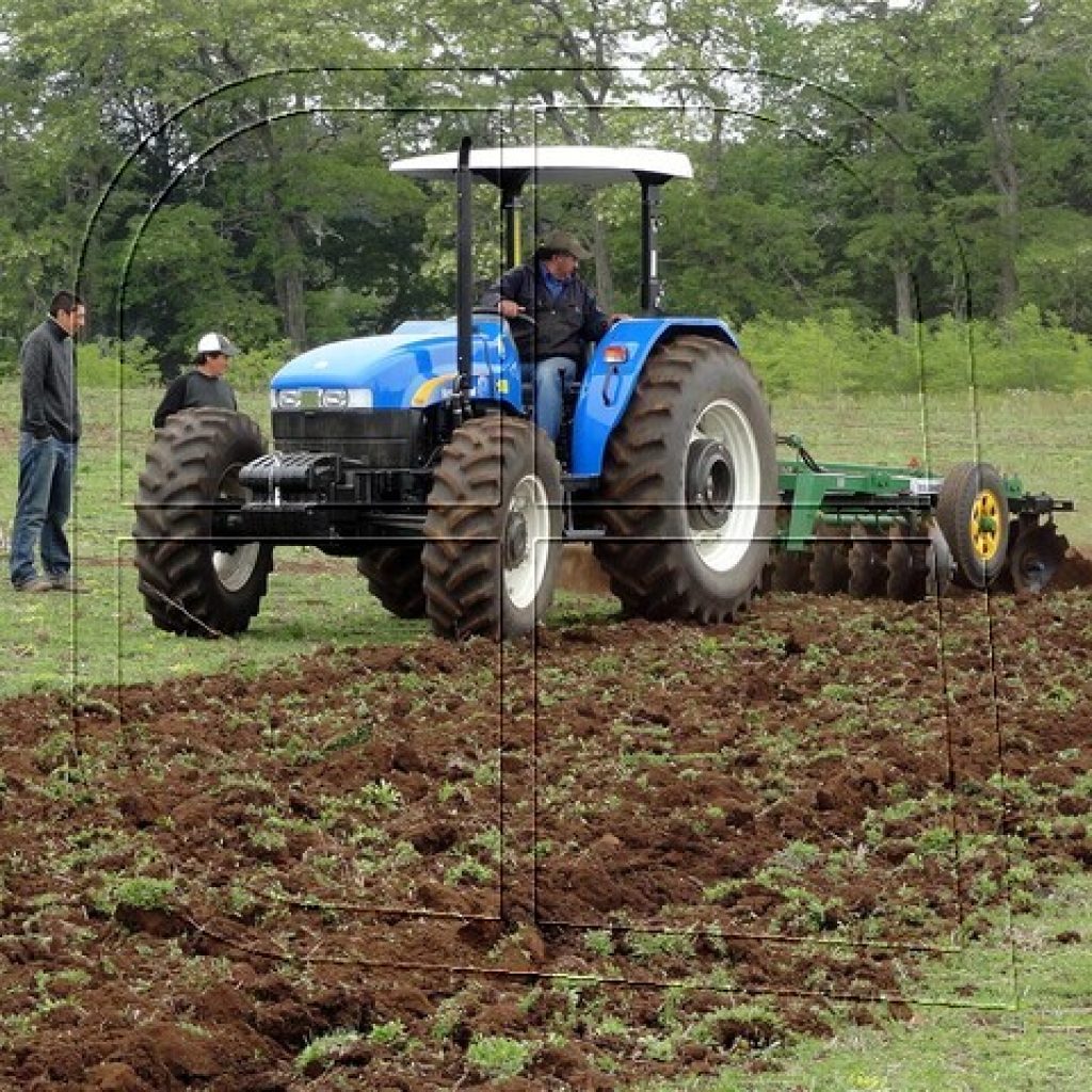 Conadi ha comprado más de 30 mil hectáreas de tierras para comunidades mapuche