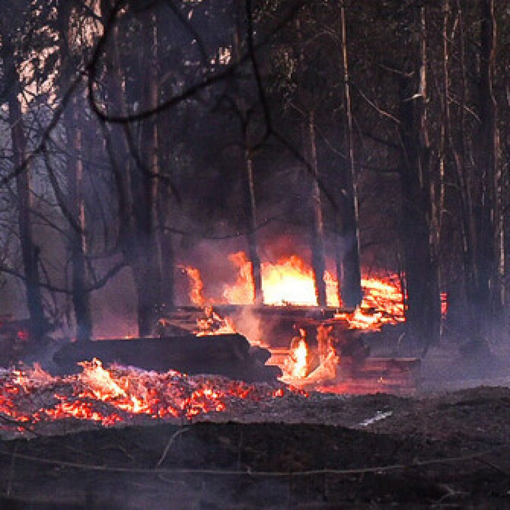 Mantienen Alerta Roja para la comuna de Natales por incendio forestal