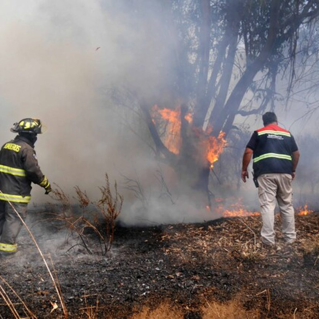 Alerta Roja para la comuna de Valparaíso por incendio forestal