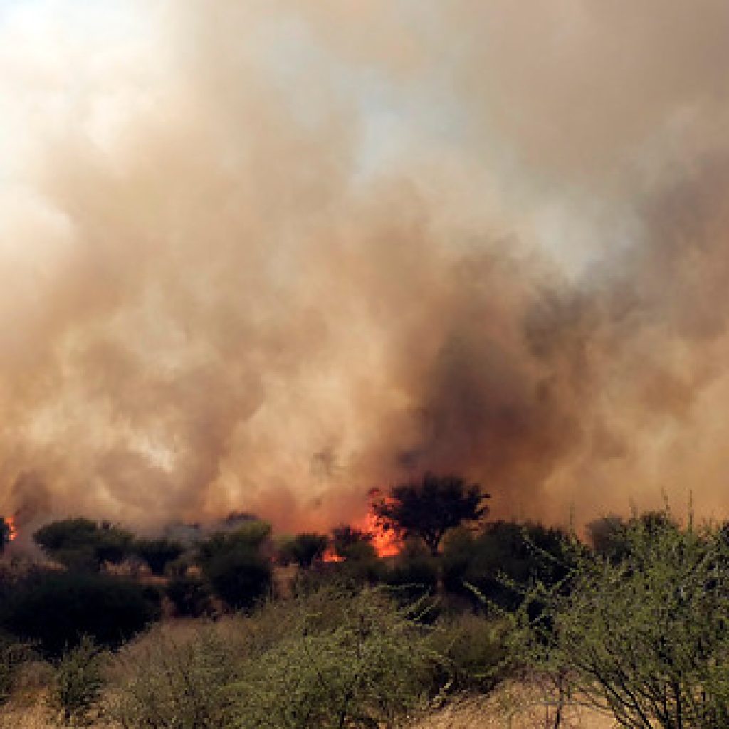 Se mantiene Alerta Roja para la comuna de Curacaví por incendio forestal