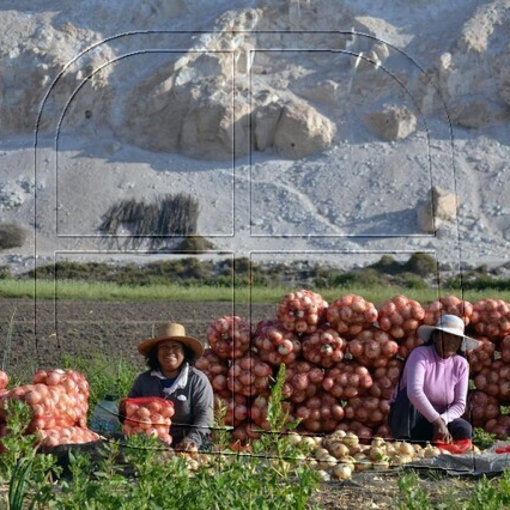 Minagri invita a mujeres agricultoras a postular en concurso nacional de riego