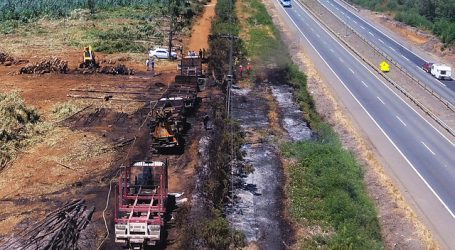 Capitán Pastene: Al menos 15 vehículos quemados en ataques incendiarios