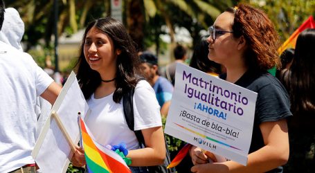 Matrimonio Igualitario: Comisión deberá votar un total de 13 indicaciones