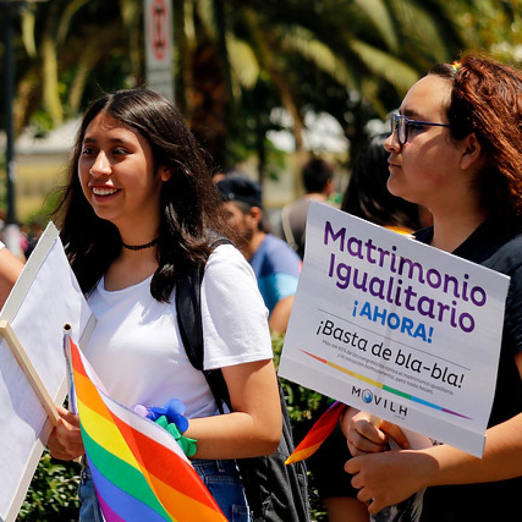 Postergan votación de indicaciones a proyecto de Matrimonio igualitario