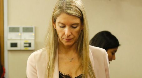 Norma está en primer trámite: Ley Dominga se abre paso a la Sala del Senado