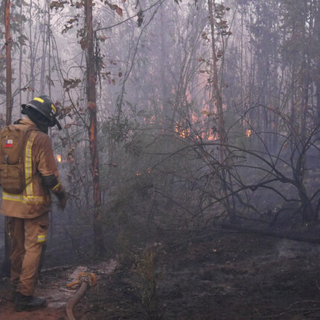 Temporada de incendios forestales dejó un 66% menos de superficie afectada