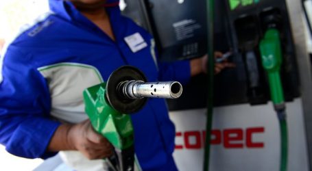 Estudio de ODECU comprueba calidad de la gasolina de 95 octanos