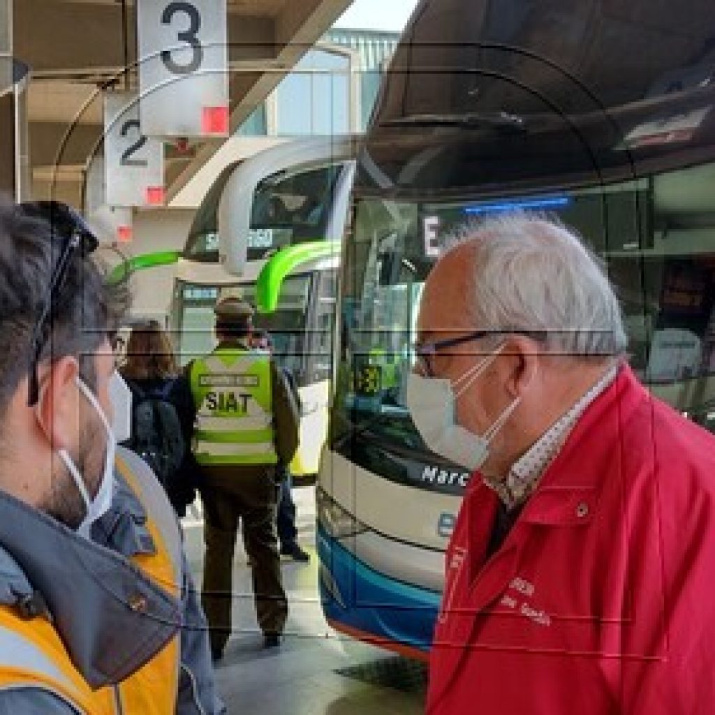 Valparaíso: Detallan plan de transporte público gratuito para las primarias