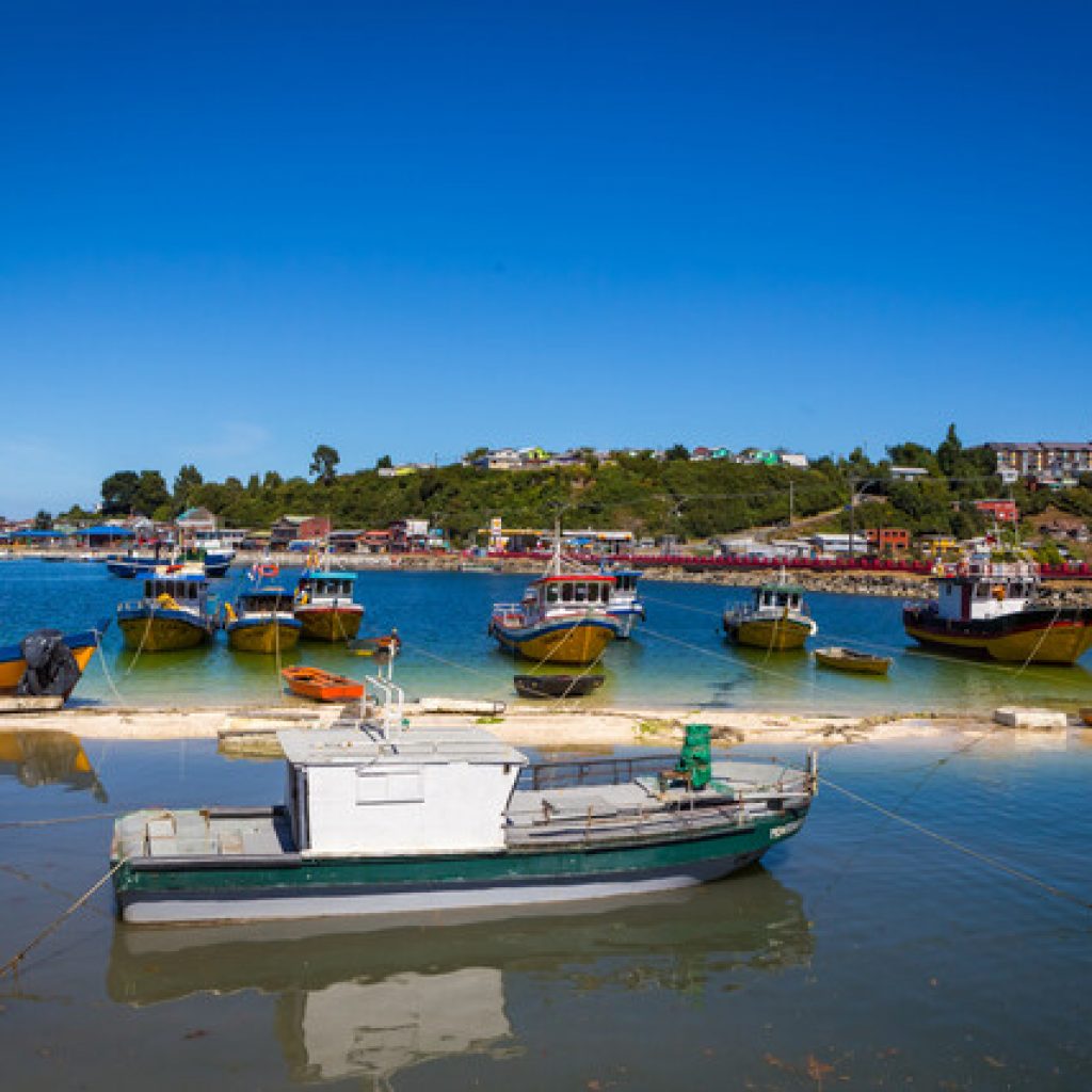 DC espera apoyo a proyecto para que pescadores artesanales reciban bono pymes