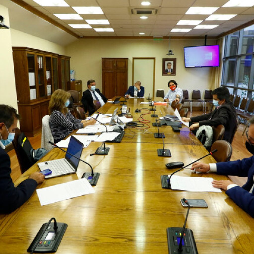 Comisión de Salud despachó a la Sala el proyecto de “Ley Mila”