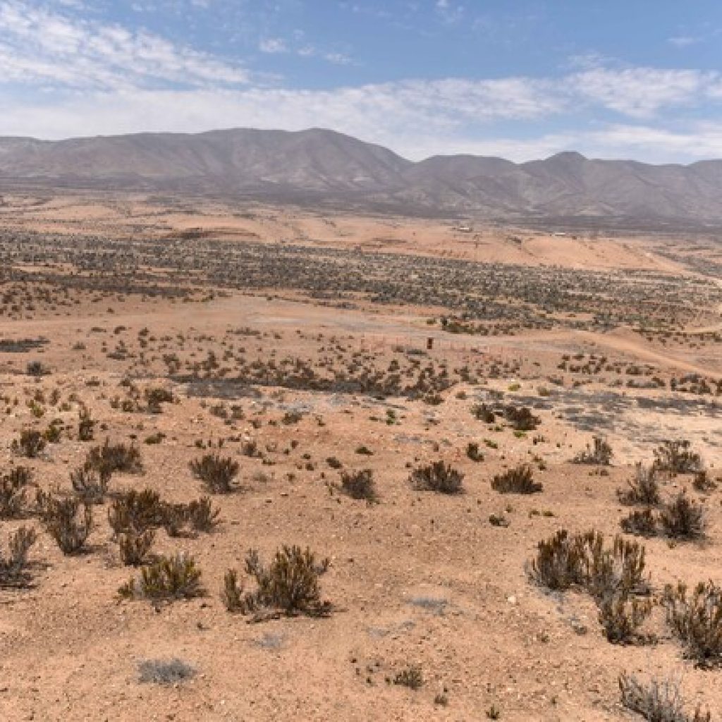 Comisión de Evaluación Ambiental de Coquimbo aprobó proyecto Dominga