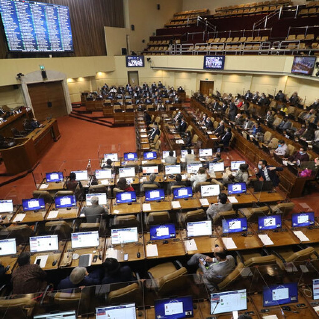 Cámara de Diputados rechaza proyecto que prohíbe carreras de perros