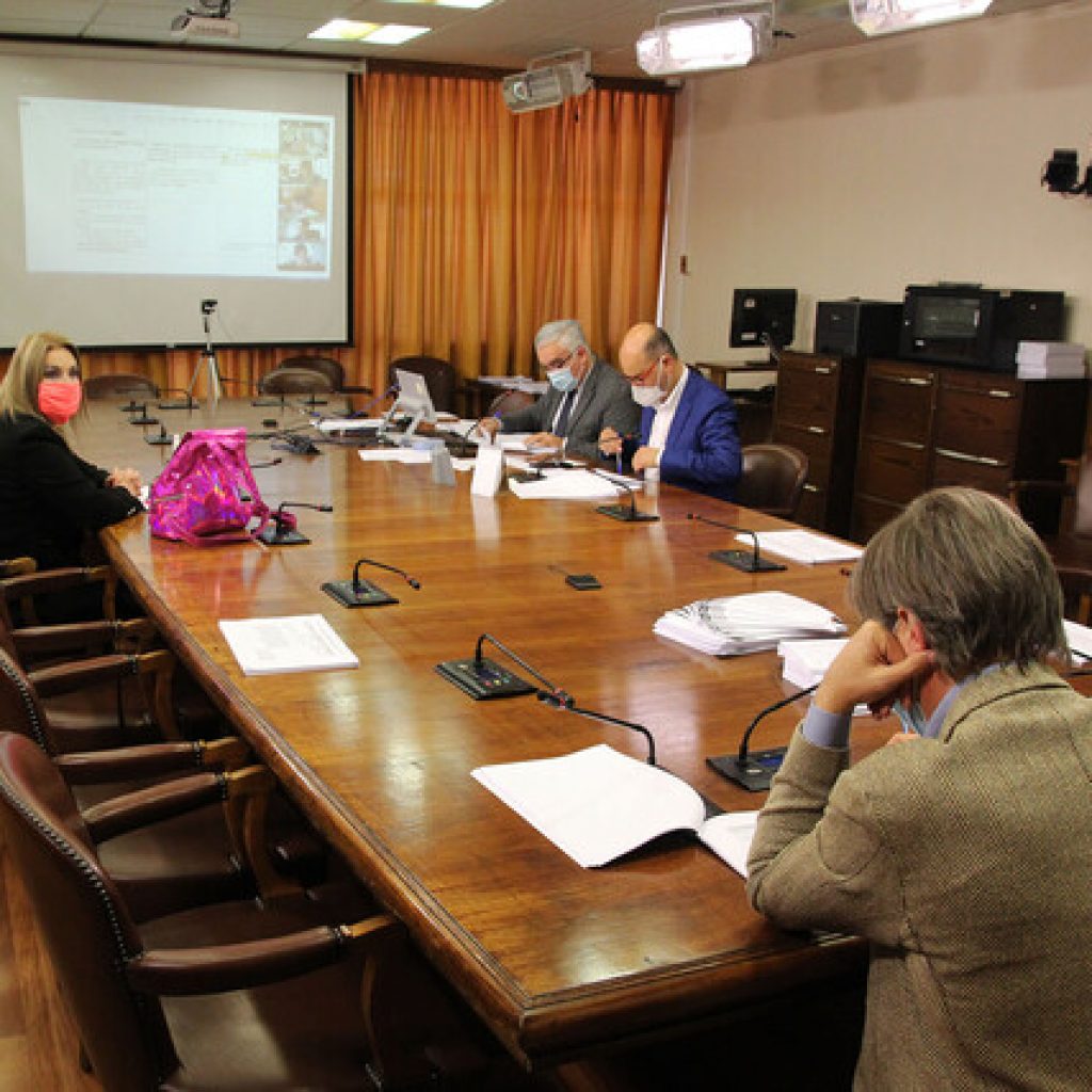 Comisión de la Cámara despacha a Sala el matrimonio igualitario