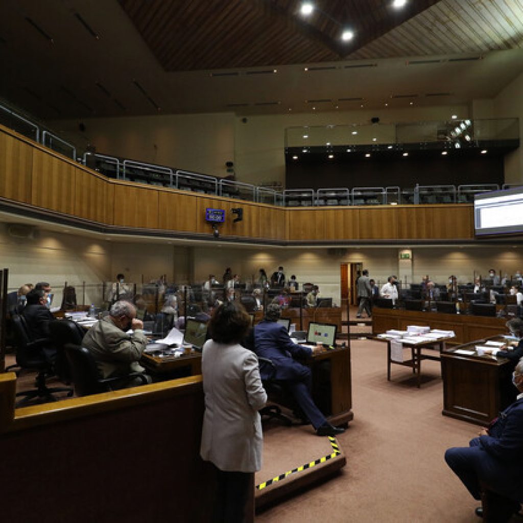 A Sala proyecto que permitirá teletrabajo a embarazadas durante alerta sanitaria