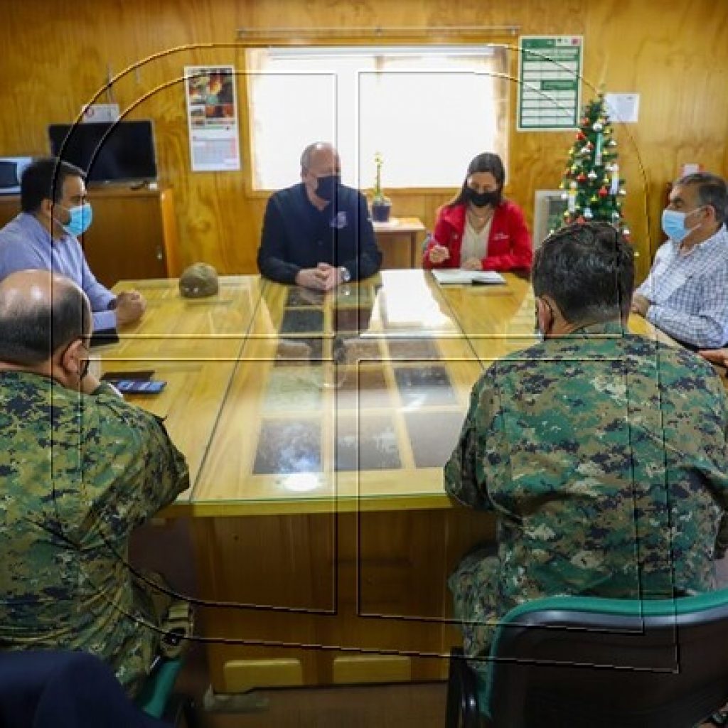 Ministra Undurraga realiza balance por incendio forestal de La Araucanía