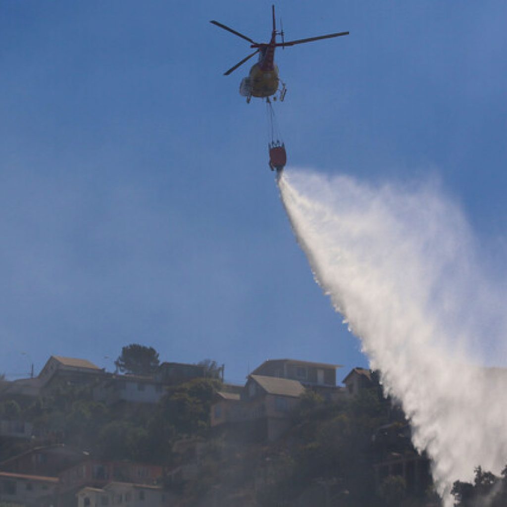 Se declara Alerta Roja para la comuna de Litueche por incendio forestal