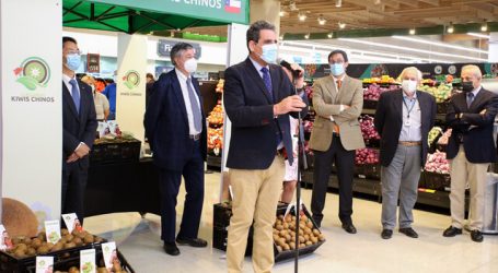 Kiwis chinos hacen su debut en el mercado chileno