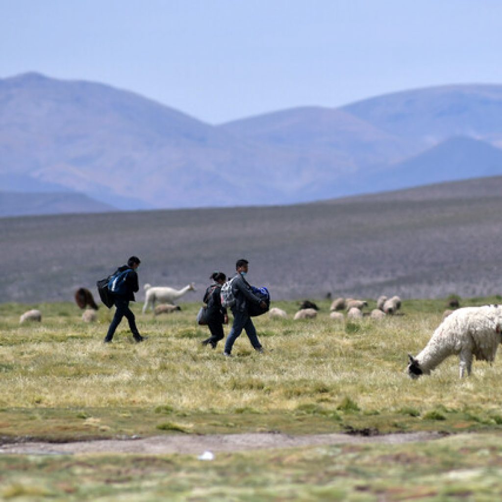 Alcalde de Colchane acusó “confusión y falta de orientación” por ley migratoria