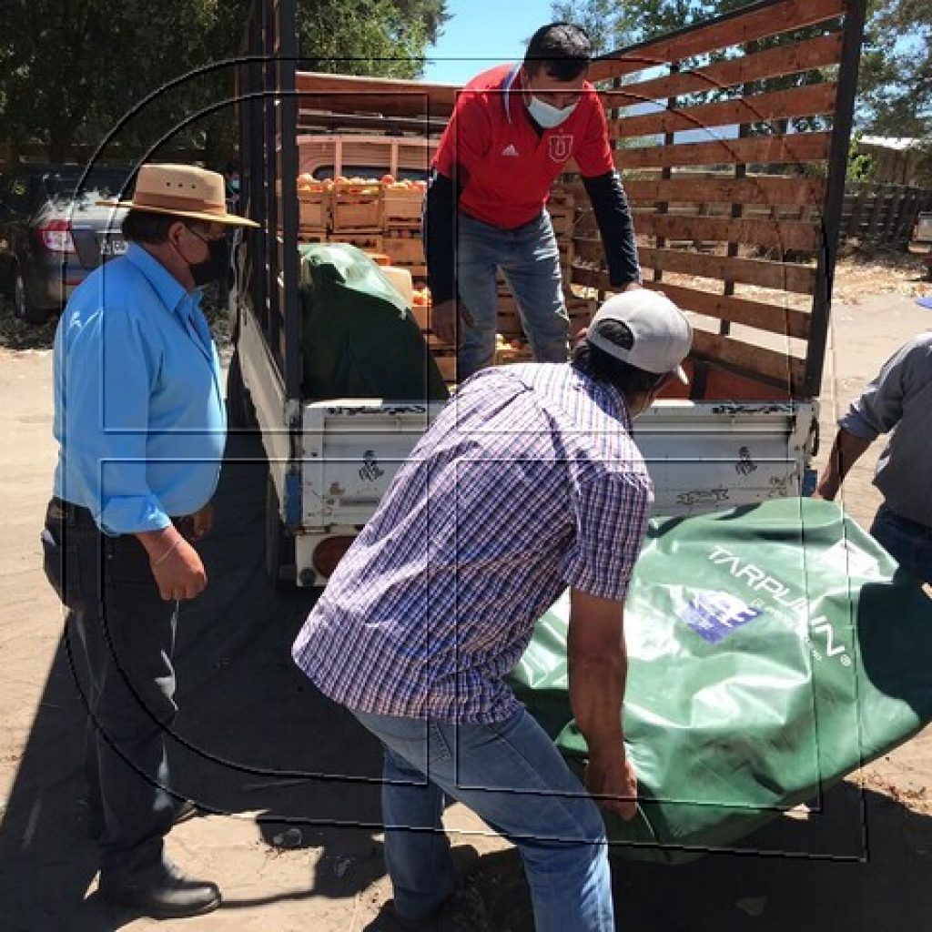 Entregan estanques de agua a productores para paliar la sequía en Quillón