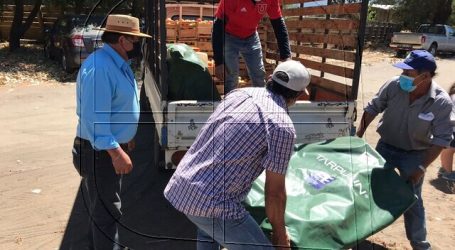 Entregan estanques de agua a productores para paliar la sequía en Quillón