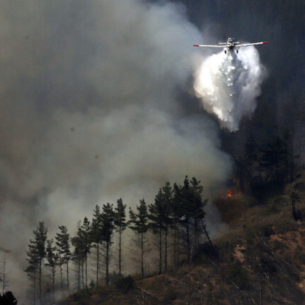 Declaran Alerta Roja en 4 comunas del Biobío por incendios forestales